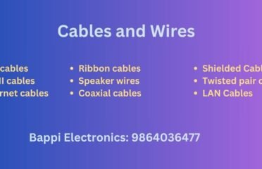 Bappi Electronics – Top Electronics Component Store Lakhtokia